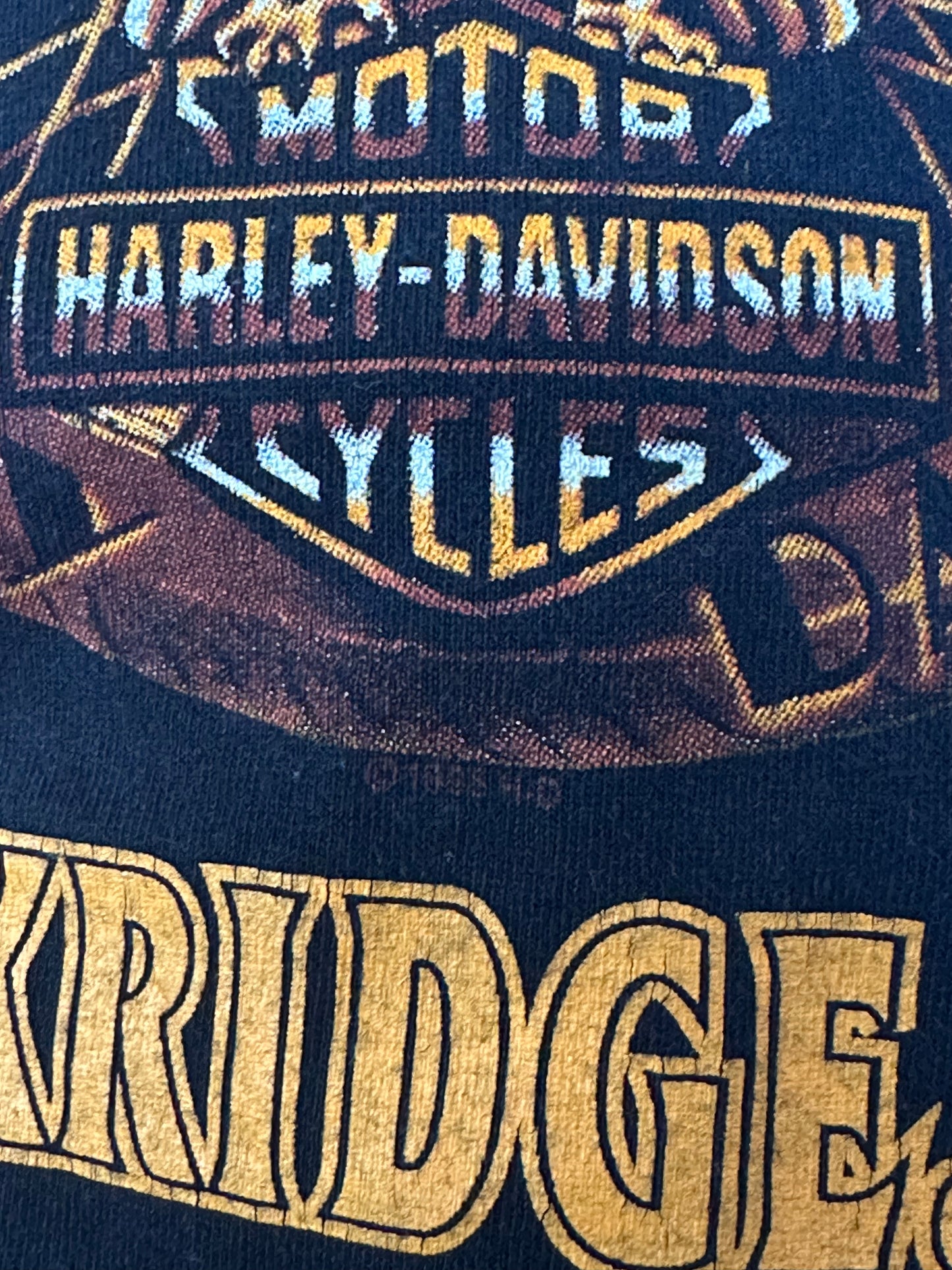 [L] 90s Harley Davidson Thunder Eagle Tee