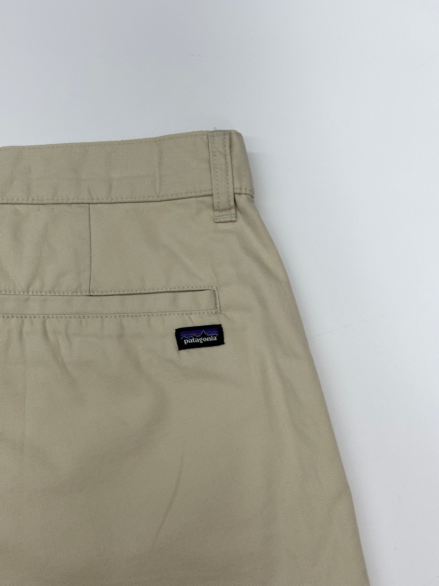 [33] Patagonia organic cotton Short