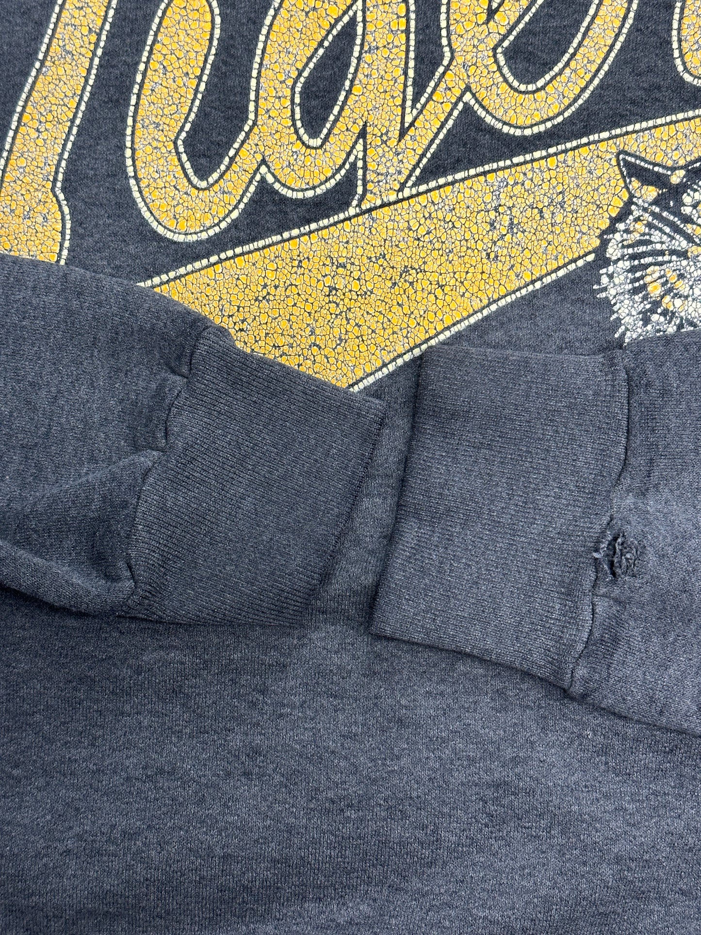[L] 90s Missouri Tigers Sweatshirt