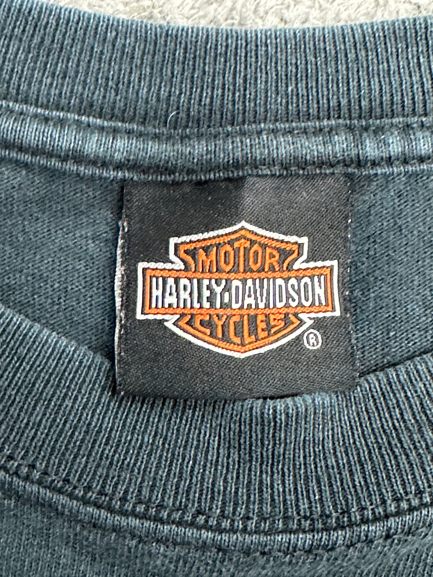 [XL] 00s Harley Davidson Blue Flame Long Sleeve