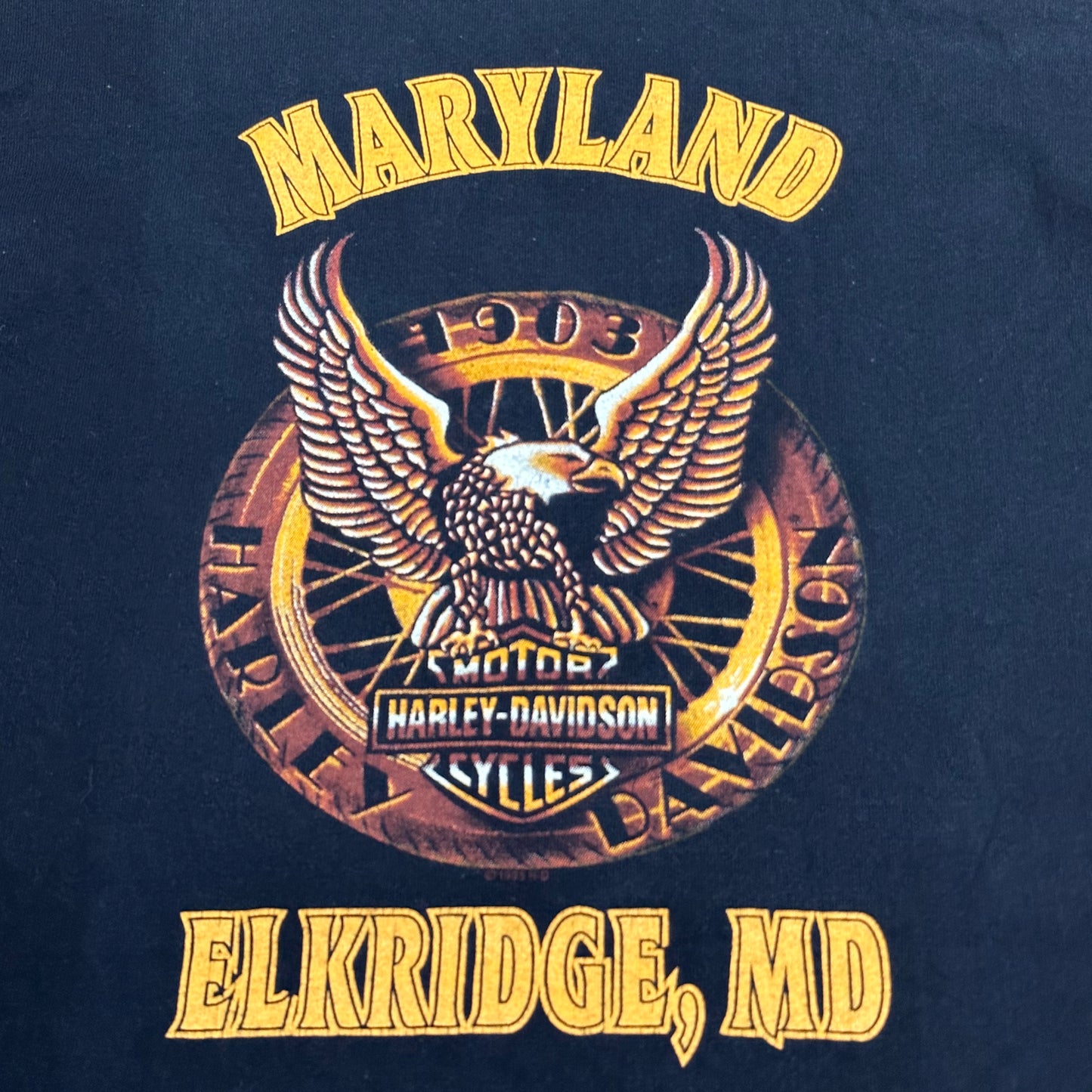 [L] 90s Harley Davidson Thunder Eagle Tee