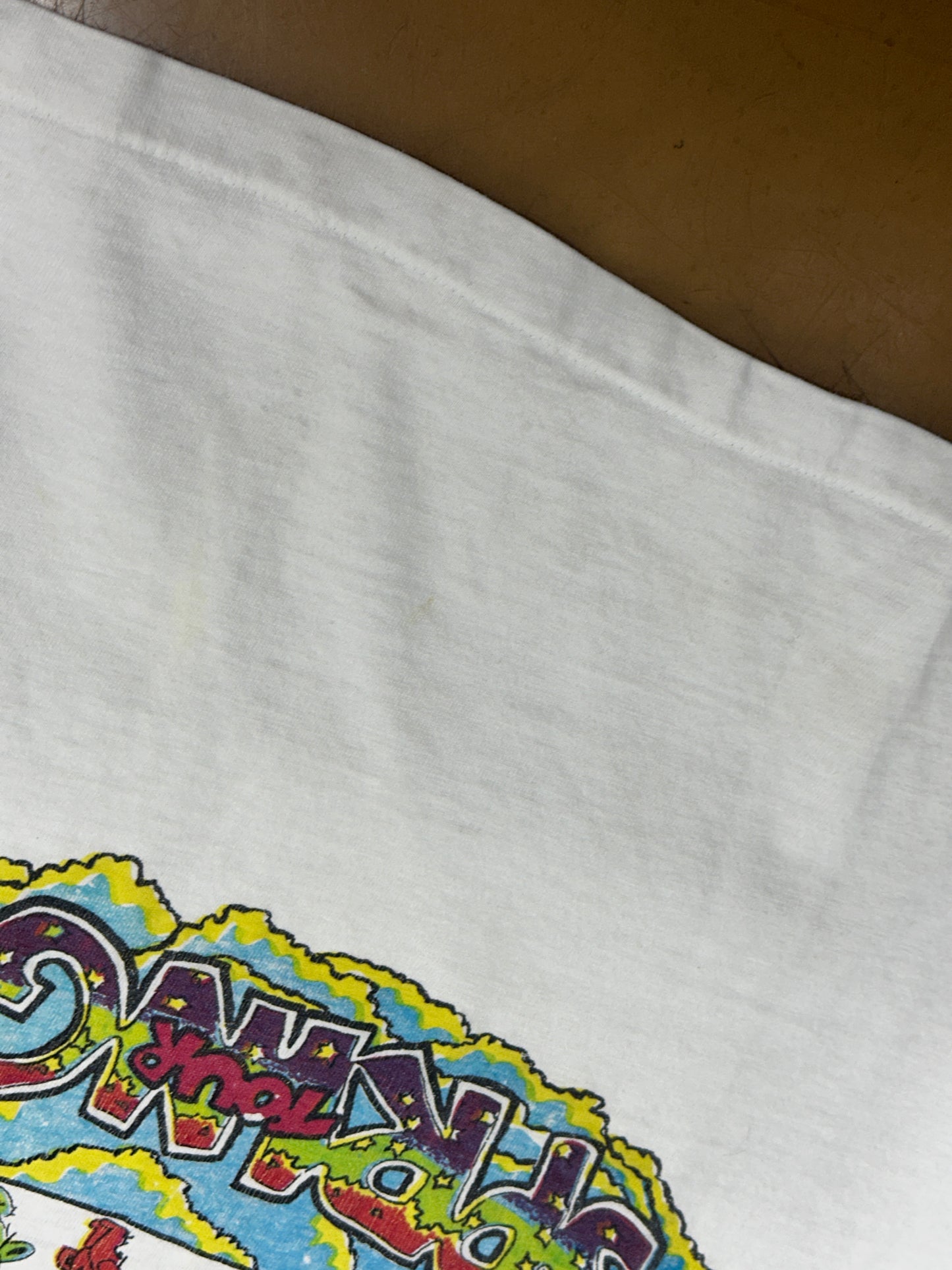 [L] 1993' Grateful Dead Spring Tour Long Sleeve