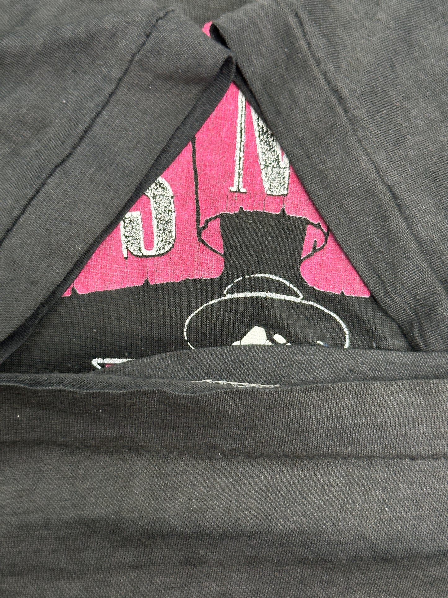 [L] 80s GUNS N' ROSES 'Appetite for Destruction' Album Tee