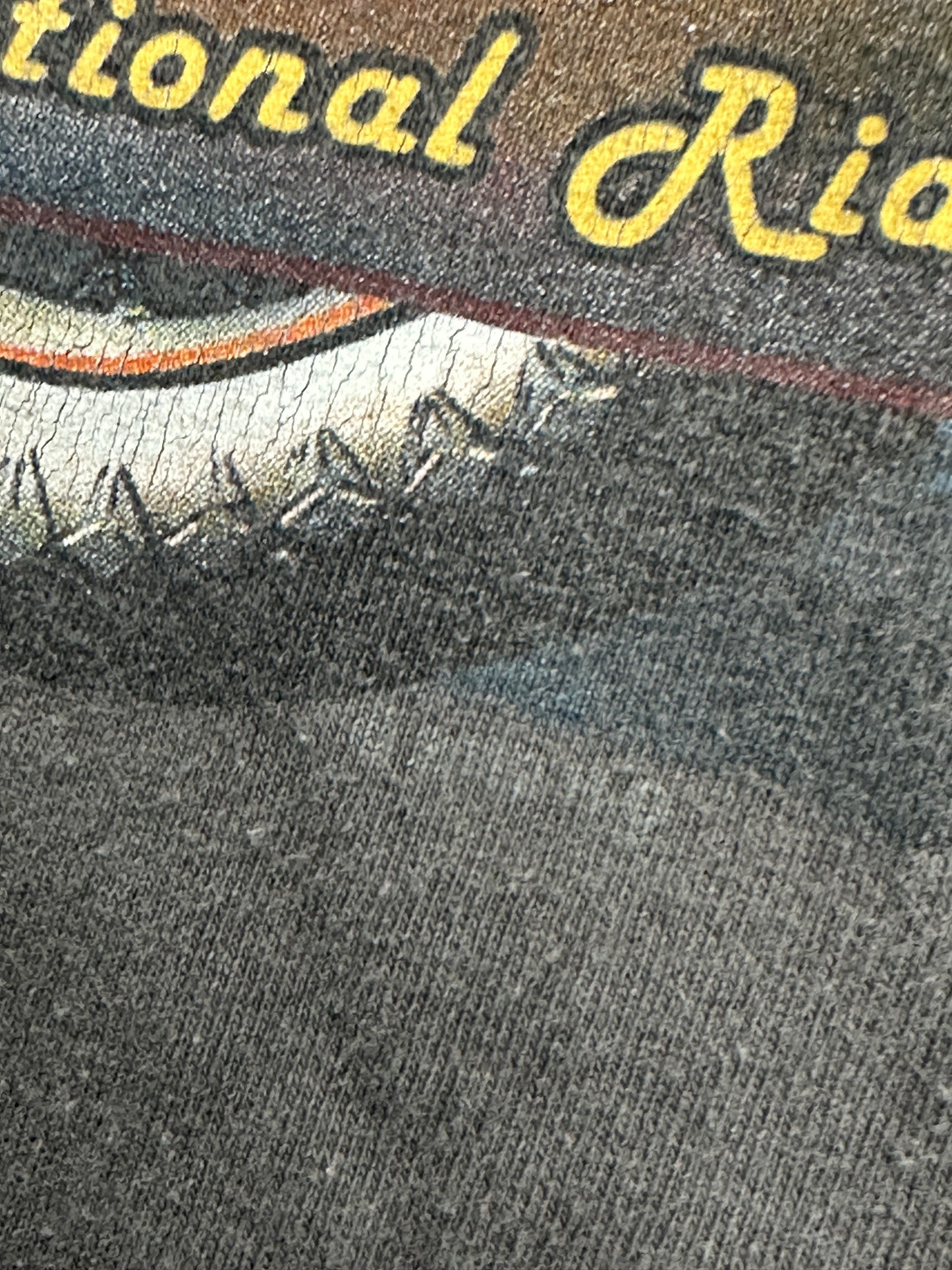 [L] 00s Harley Davidson Long Sleeve